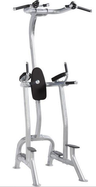 HS 225 Fitness Tree