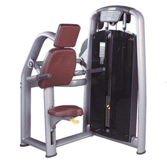 TM-650 Triceps Machine